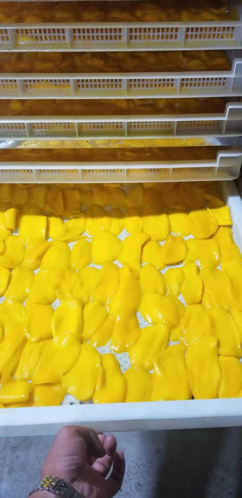 益陽(yáng)瑪山產(chǎn)業(yè)機(jī)械有限公司，湖南益陽(yáng)螺旋風(fēng)管廠家，熱風(fēng)食品烤房