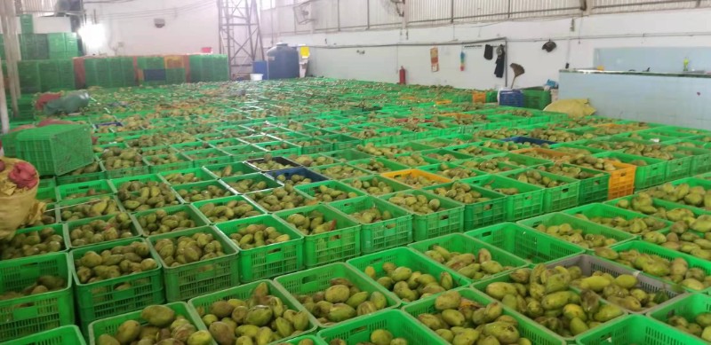 益陽瑪山產(chǎn)業(yè)機(jī)械有限公司，湖南益陽螺旋風(fēng)管廠家，熱風(fēng)食品烤房