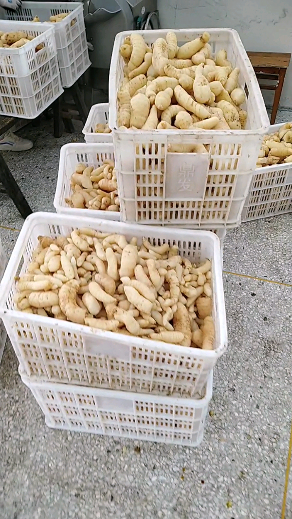 益陽瑪山產(chǎn)業(yè)機械有限公司，湖南益陽螺旋風管廠家，熱風食品烤房